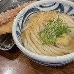 トウキョウライトブルー ホンゴウスリー