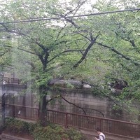 unito - 目黒川が目の前