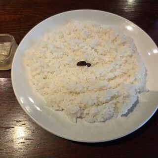 DEVIL CURRY_1