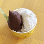 ジェラテリア フルーツラボラトリー - 