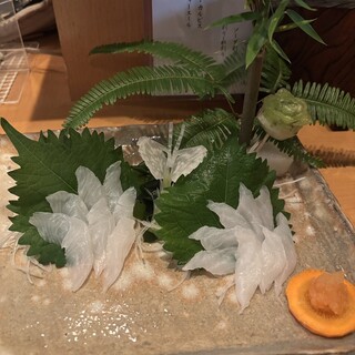 ひでとら_1