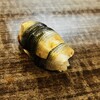 立喰寿司 スタンド きんぼし - 