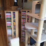 Cat Cafe Nekobiyaka - 色々な漫画や猫本がいっぱい置いてます。
