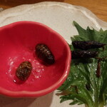 門前酒場山里 - イナゴと蚕の佃煮（食べかけすみません）