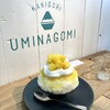 UMINAGOMI - 