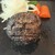 炭焼ハンバーグ 牛船 - 料理写真: