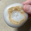へんばや商店 - 