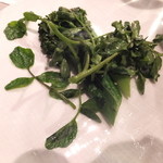 ボウ・デパール青山倶楽部 - スティックセニョール