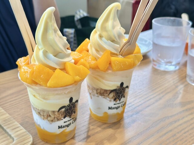Blue Turtle Farm Mango Cafe （ブルータートルファーム マンゴー
