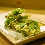 うを徳 - 2015.5 信州コシアブラ天ぷら