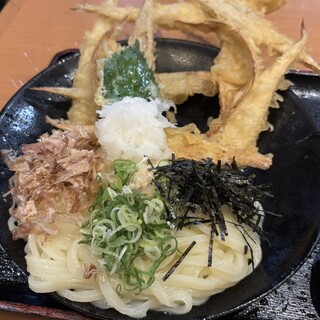大地のうどん_0