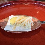 小田井宿 豊庵 - 富山湾産 白海老とズッキーニのかき揚げ