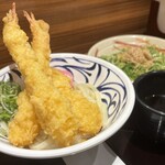 はなまるうどん - 料理写真:クーポン期限が切れそうなので駆込み870感謝うどん