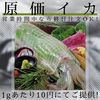 和食イタリアン わさび