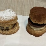 TSU CONES - 