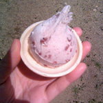 深作冷菓店 - あずき