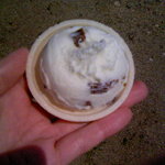 深作冷菓店 - ラムレーズン