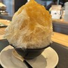 長谷園 東京店 igamono