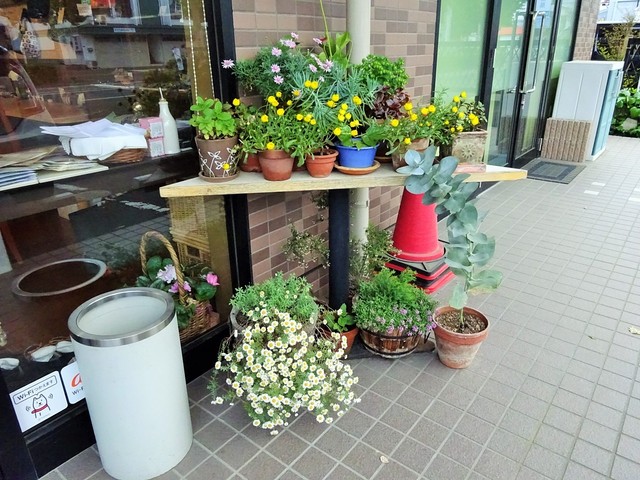 ナトゥーラ - 南仙台（オーガニック）の写真