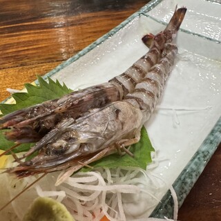 波路_1