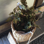 農家民宿 里屋敷 - ローリエお持ち帰りのサービス