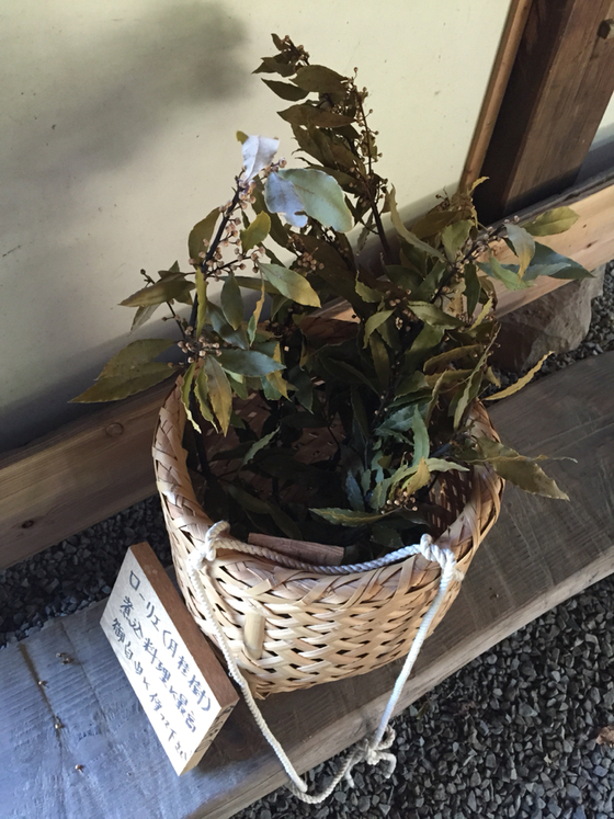 里屋敷 name=