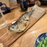 夜ノ焼魚 ちょーちょむすび - 料理写真:とろにしん炭焼