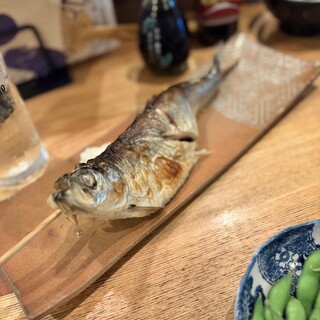 夜ノ焼魚 ちょーちょむすび_0