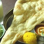 インド料理 カリカ - 料理写真:2種