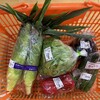 道の駅 中山盆地 - 料理写真: