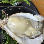 与吉屋 - 