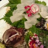 春の釣魚　４月～6月