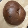 AREUM BAGEL 北千住