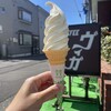 ヴィガ - 