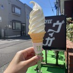 ヴィガ - 