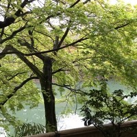 錦 - 