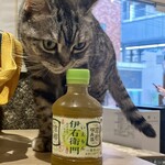 猫喫茶 空陸家 - ドリンク写真: