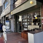 SOT COFFEE ROASTER - 