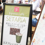 SETARIA - 