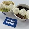 YOGURT WORLD Matsuyama Okaido Ten - 