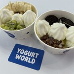YOGURT WORLD Matsuyama Okaido Ten