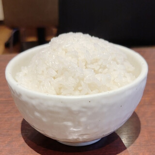 たい将_1