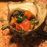 サザエ　(2015/04)