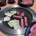 出芽金 - 