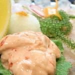 はてなのちゃわん - 肝がキレイ　海葡萄も☆♪