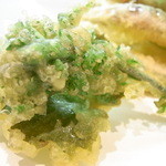 はてなのちゃわん - ウド菜☆♪