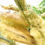 はてなのちゃわん - キビナゴは柔らかい　お造りでも頂けます☆♪