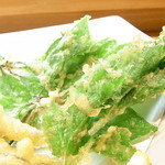 はてなのちゃわん - コシアブラ☆♪