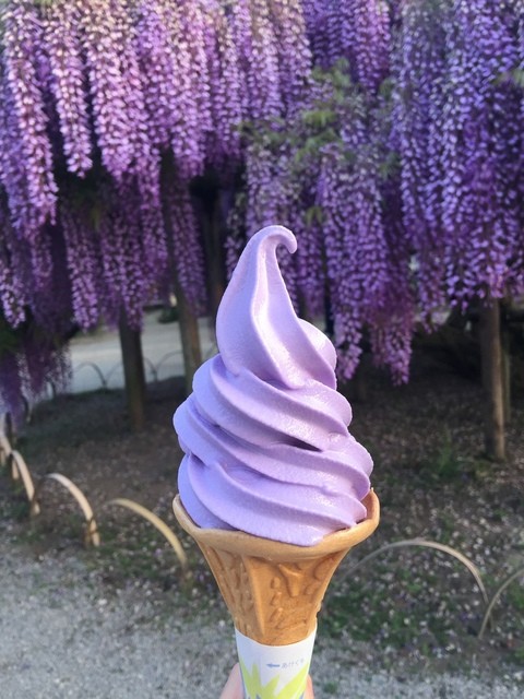 藤ソフトクリーム By Salt あじさい あしかがフラワーパーク レストラン その他 食べログ