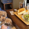 Garden Tail Cafe